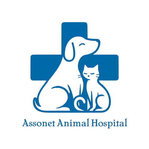 Assonet Animal Hospital Logo