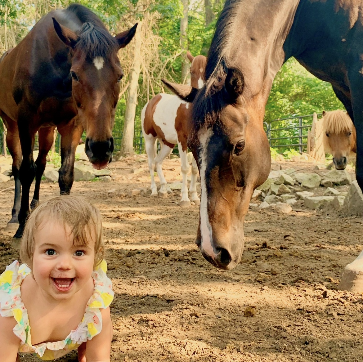 Profile for Stephanie