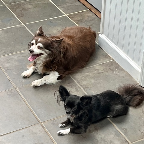 Profile for Meredith